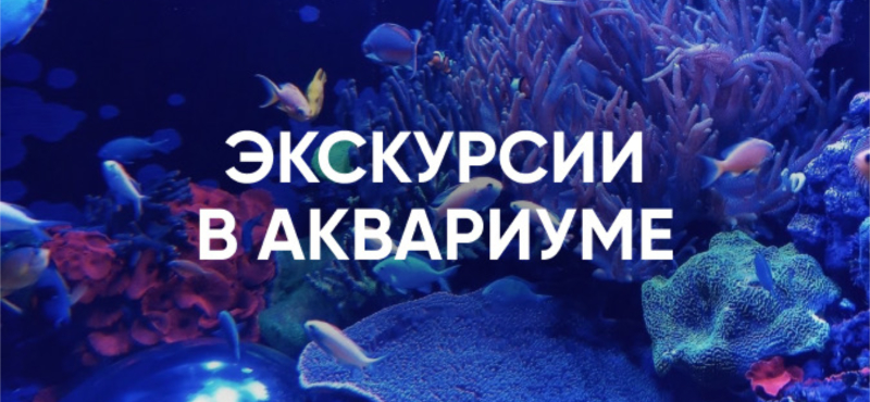 Экскурсии в аквариуме