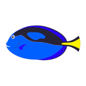 РЫБА-ХИРУРГ